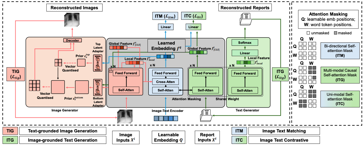 MedUnifier Model Architecture and Learning Objectives